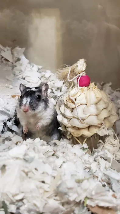 Holmes Family Veterinary Clinic Picture 3