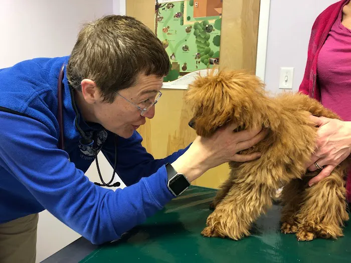 Holmes Family Veterinary Clinic Picture 9