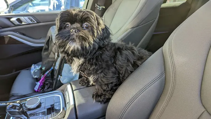 Holmes Family Veterinary Clinic Picture 5