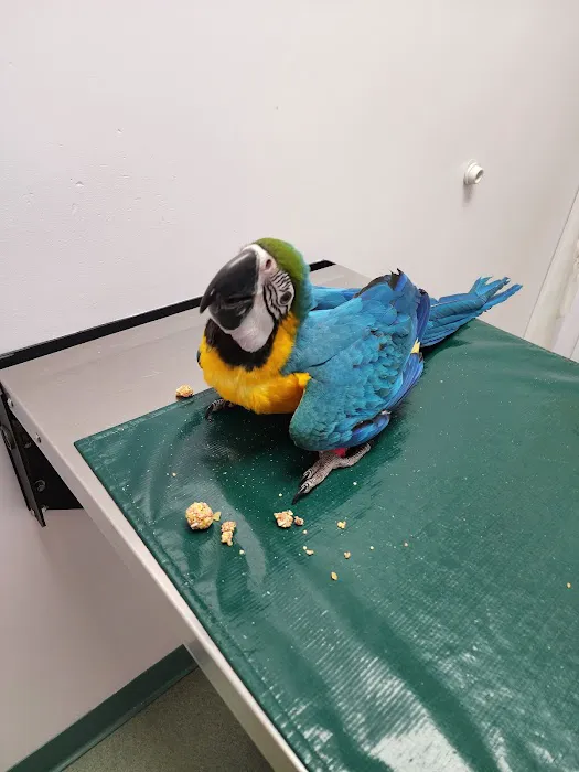 Holmes Family Veterinary Clinic Picture 4