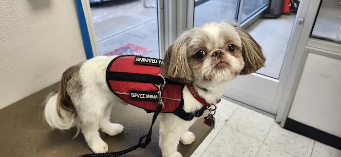 Holmes Family Veterinary Clinic Picture 2