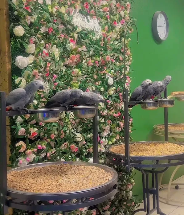 Kimberly's Pet Shop Picture 5