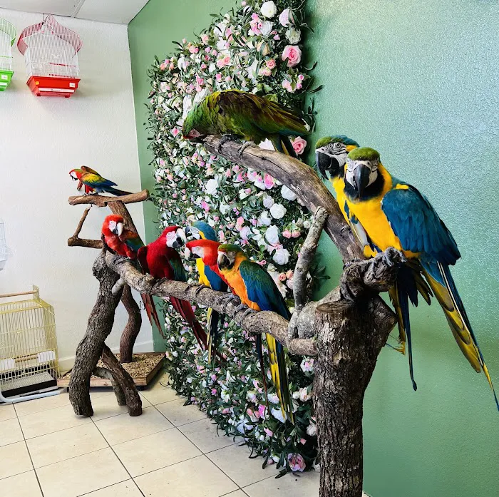 Kimberly's Pet Shop Picture 3
