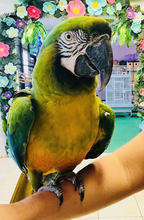 Kimberly's Pet Shop Picture 8