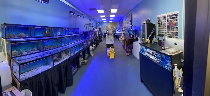 Aquatic Underworld Picture 5