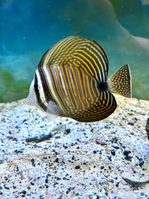 Aquatic Underworld Picture 6