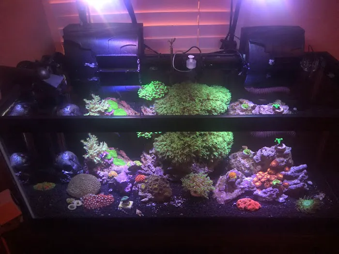 Aquatic Underworld Picture 2