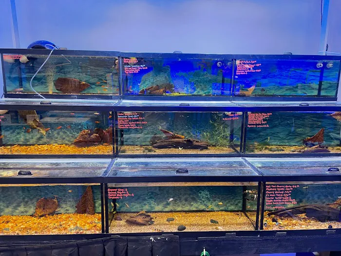 Aquatic Underworld Picture 4