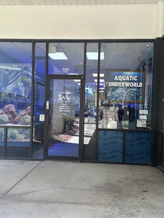 Aquatic Underworld Picture 1