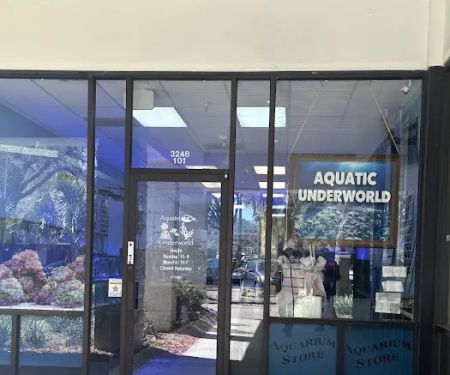 Aquatic Underworld