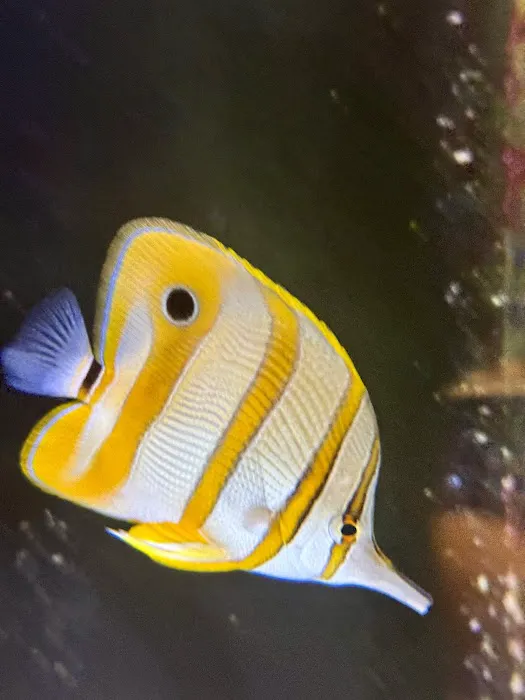 Aquatic Underworld Picture 7