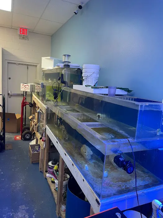 Aquatic Underworld Picture 8