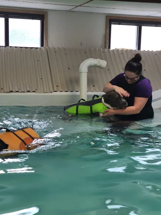 Paws In Motion Picture 6