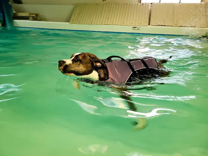 Paws In Motion Picture 5