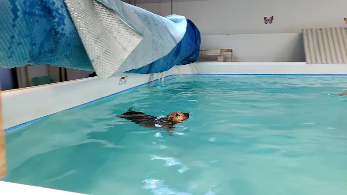 Paws In Motion Picture 3