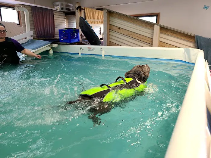 Paws In Motion Picture 4