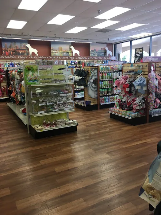 Pet Supermarket Picture 5