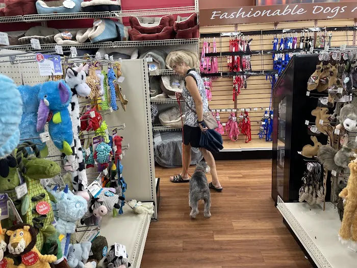 Pet Supermarket Picture 1