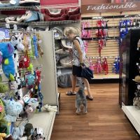 Pet Supermarket ico