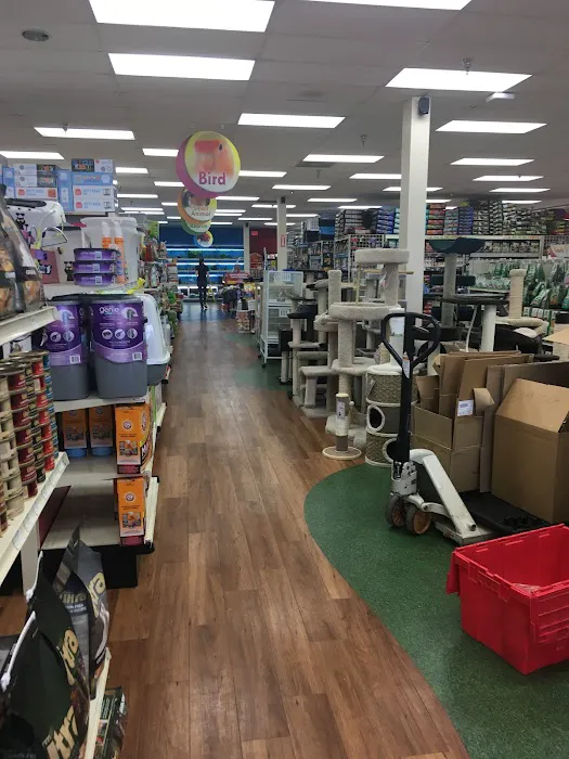 Pet Supermarket Picture 7