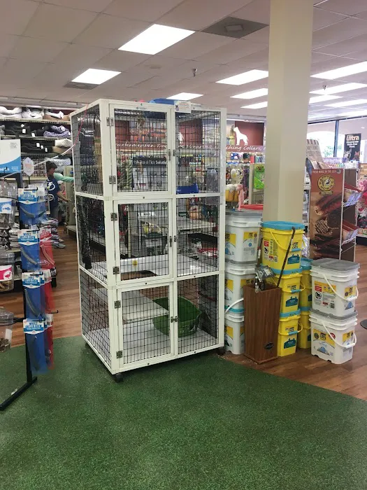 Pet Supermarket Picture 9
