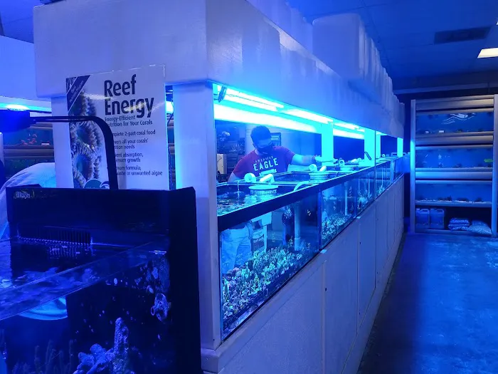 The Aquarium & Fish Store Picture 1