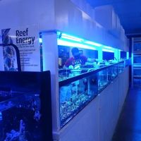 The Aquarium & Fish Store ico