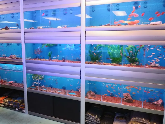 The Aquarium & Fish Store Picture 2