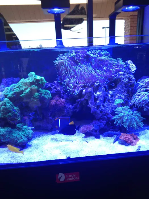 The Aquarium & Fish Store Picture 5