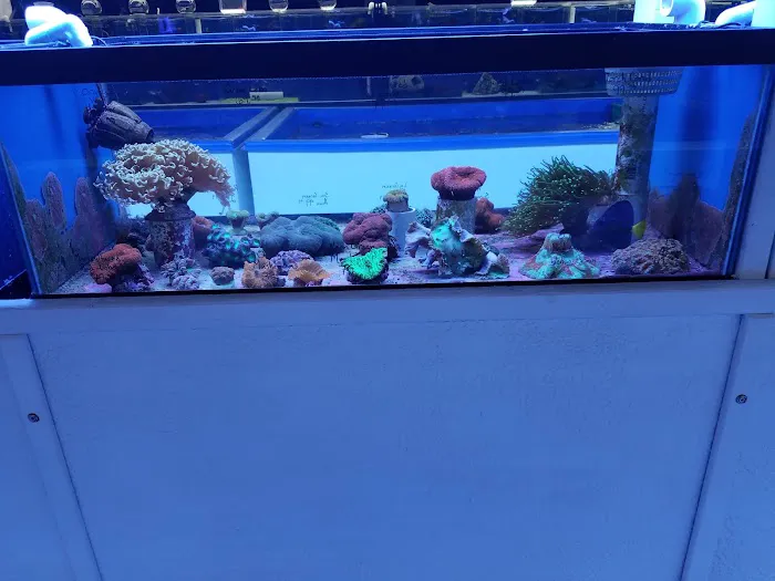 The Aquarium & Fish Store Picture 10