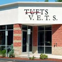 Tufts Veterinary Emergency Treatment & Specialties ico