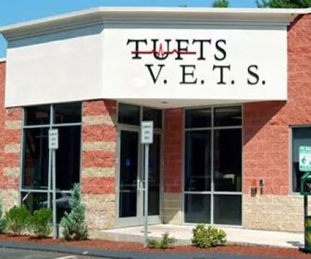 Tufts Veterinary Emergency Treatment & Specialties