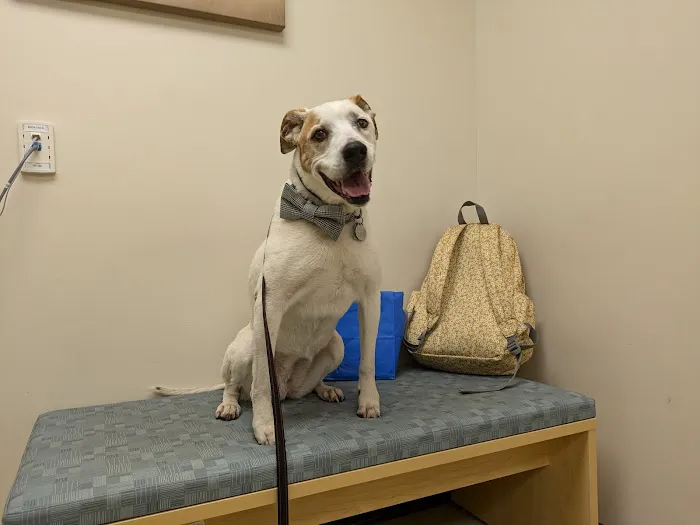 Tufts Veterinary Emergency Treatment & Specialties Picture 8