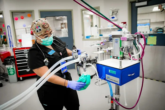 Tufts Veterinary Emergency Treatment & Specialties Picture 10