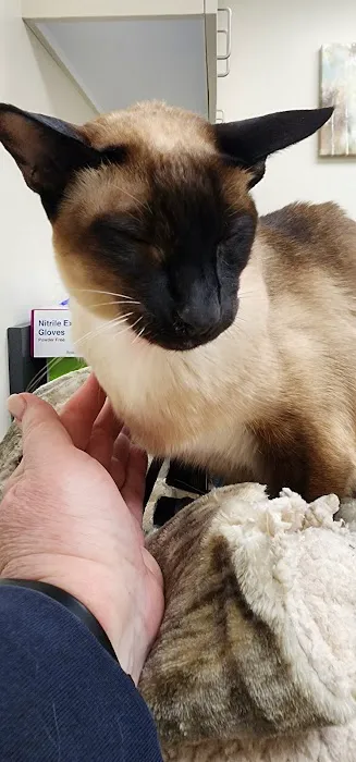 Tufts Veterinary Emergency Treatment & Specialties Picture 3