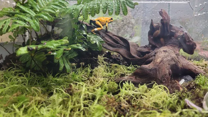 Animal Ventures Picture 9