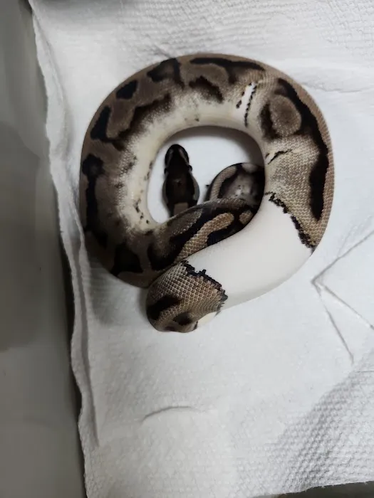 Animal Ventures Picture 5