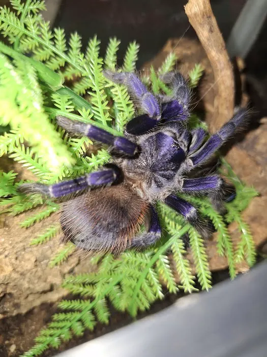 Animal Ventures Picture 1