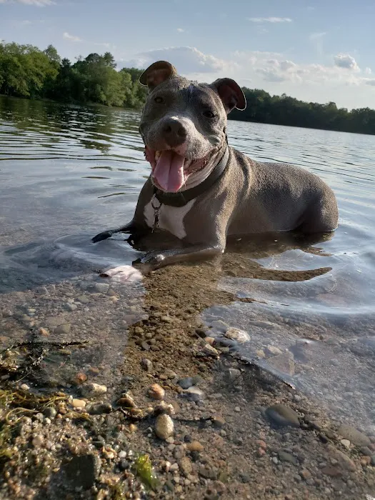 Norfolk County Veterinary Service Picture 7