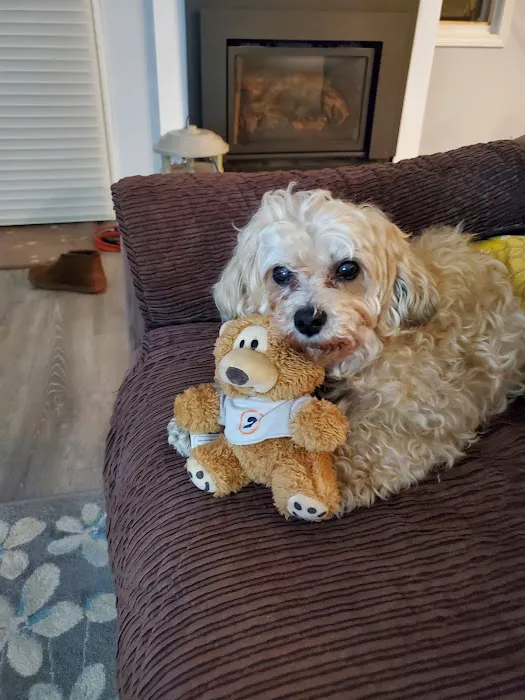 Norfolk County Veterinary Service Picture 8