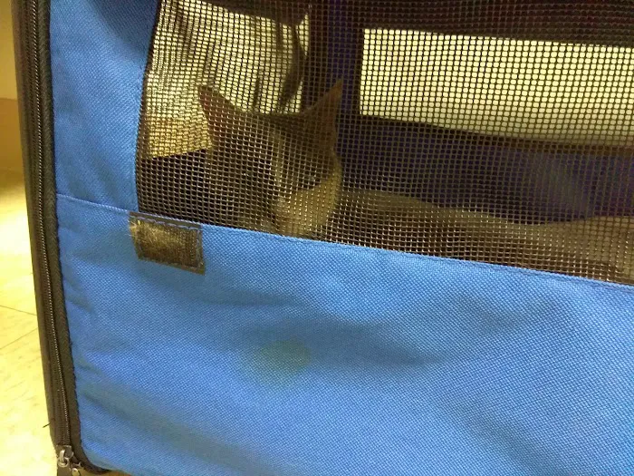 Foxboro Animal Hospital Picture 5