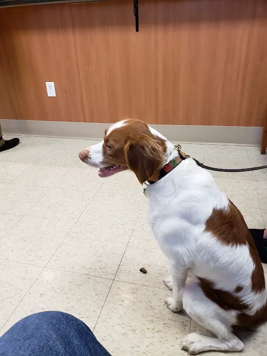 Foxboro Animal Hospital Picture 6