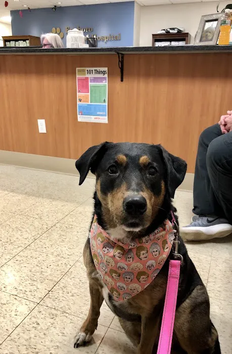 Foxboro Animal Hospital Picture 3