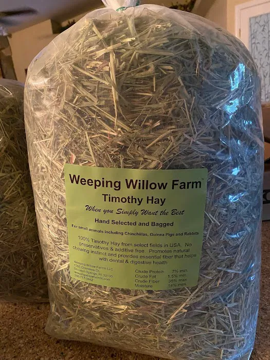 Weeping Willow Farm llc Home of C & B Chinchillas Picture 5