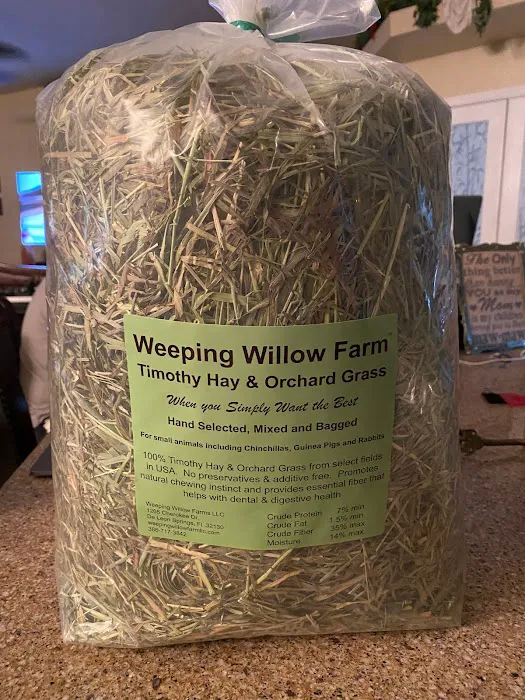 Weeping Willow Farm llc Home of C & B Chinchillas Picture 4