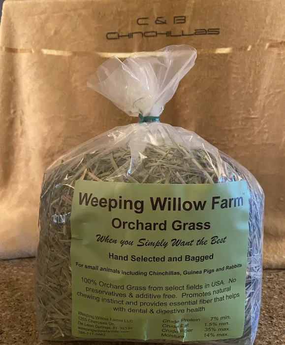 Weeping Willow Farm llc Home of C & B Chinchillas Picture 8