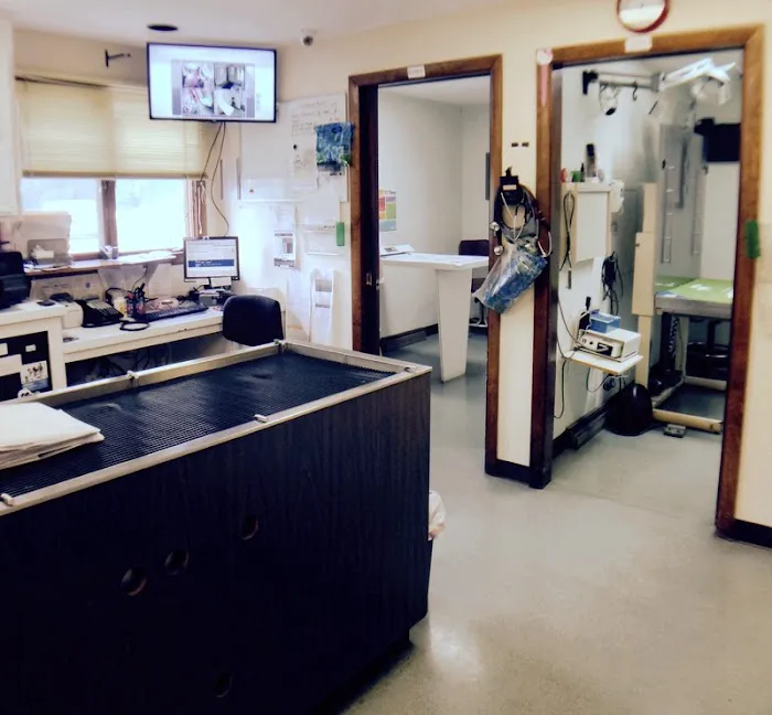 Sharon Veterinary Clinic Picture 3