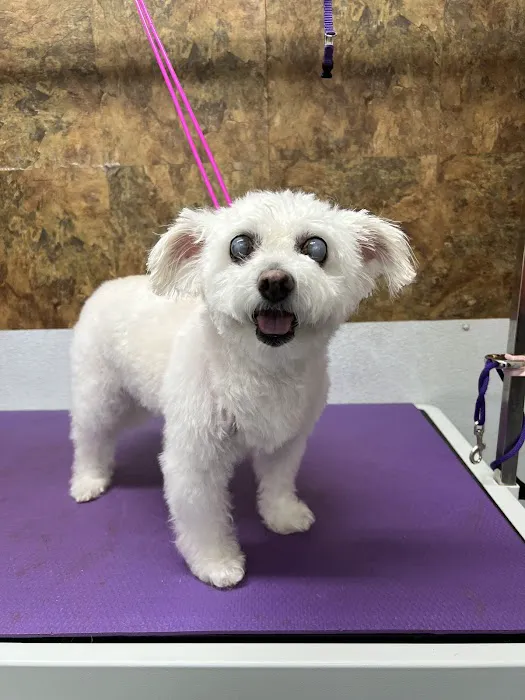 Sharon Veterinary Clinic Picture 5