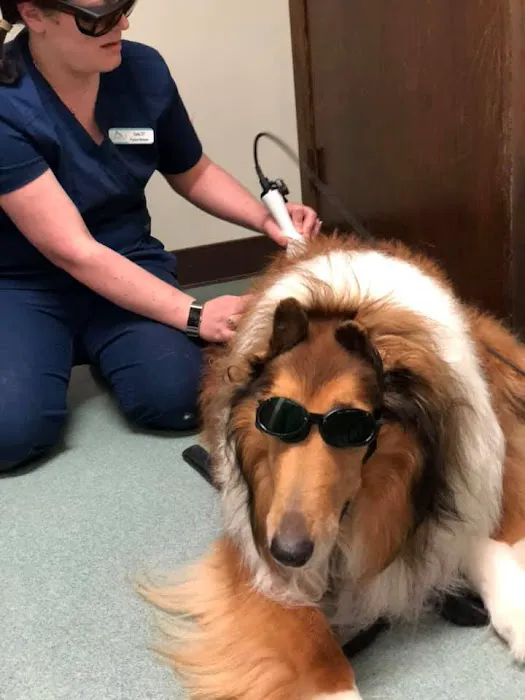 Sharon Veterinary Clinic Picture 4