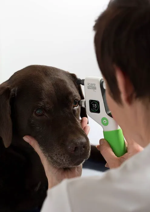 Sharon Veterinary Clinic Picture 8